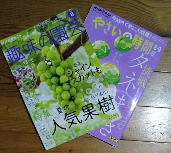 NHKテキスト 趣味の園芸 8月号 やさいの時間8-9月号 2冊セット