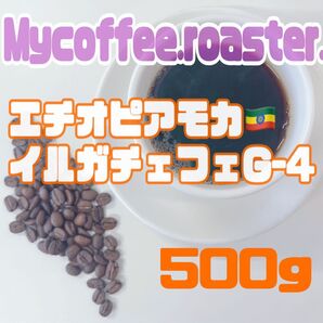 【自家焙煎】エチオピアモカ・中煎り/香り高いフルーティーな味わい【500g】