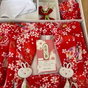 着物 子供 七五三 お祝い着 フルセット うさぎ