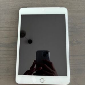 iPad mini 4 128gb Cellular