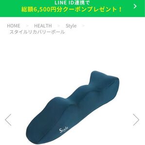 スタイルリカバリーポール Style