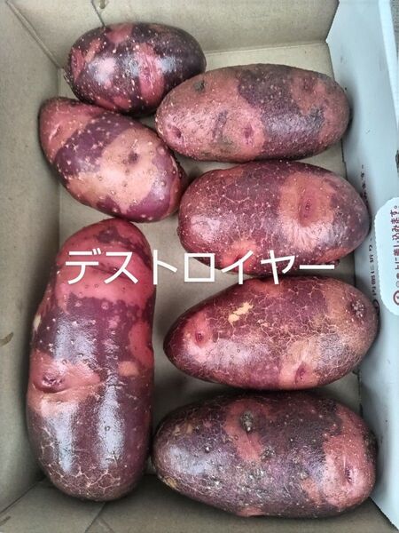 グランドペチカ 10kg◎無農薬・ 有機発酵堆肥