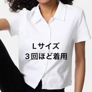 ミニポロ ユニクロ L 半袖