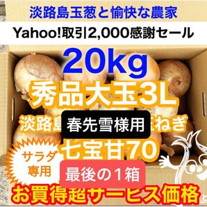 春先雪様用<最終1箱!大玉20kg>淡路島産 玉ねぎ たまねぎ 玉葱 タマネギ