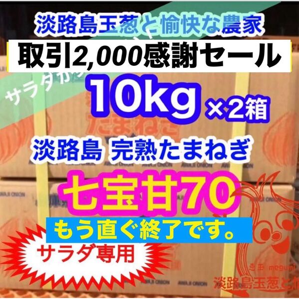 <サラダ専用10kg×2箱>淡路島産 玉ねぎ たまねぎ 玉葱 タマネギ
