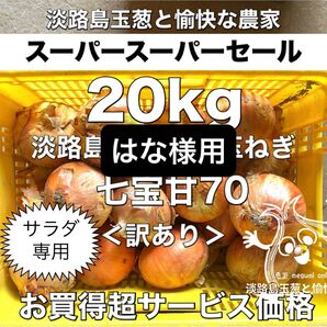 はな様用<訳あり20kg>七宝甘70 淡路島産 玉ねぎ たまねぎ 玉葱 タマネギ