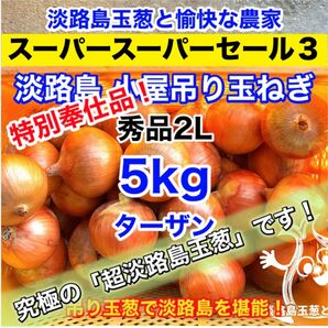 <特別価格5kg>淡路島産 玉ねぎ ターザン 玉葱 タマネギ