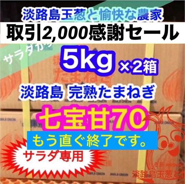 <サラダ専用5kg×2箱>淡路島産 玉ねぎ たまねぎ 玉葱 タマネギ