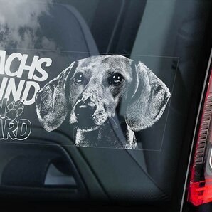 ◆送料無料 ダックスフント/ ダックスフンド D7 外張り カーステッカー 220×100mm@外貼り カー ステッカー 車 ウインドウ シール 犬 3054