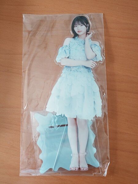 【最安値】乃木坂46 中西アルノ BIGアクリルスタンド luckybag 2024 未開封