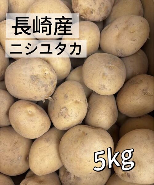 数量限定 じゃがいも 長崎県 島原産 馬鈴薯 新じゃが ご家庭用 5kg 訳あり