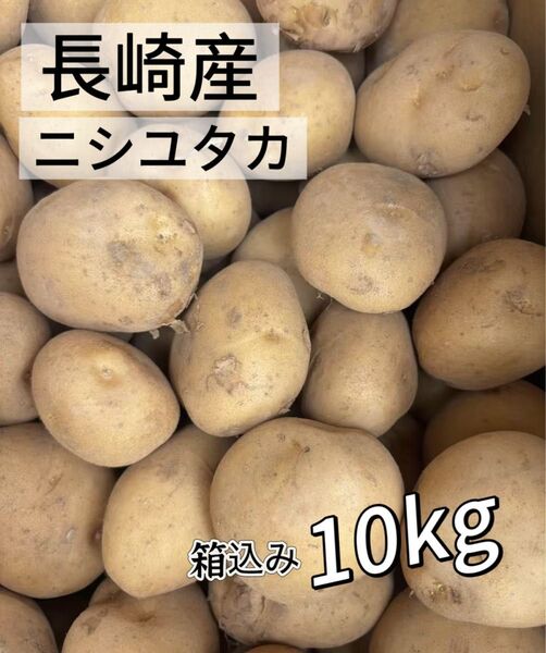 数量限定 じゃがいも 長崎県 島原産 馬鈴薯 新じゃが ご家庭用 箱こみ10kg 訳あり