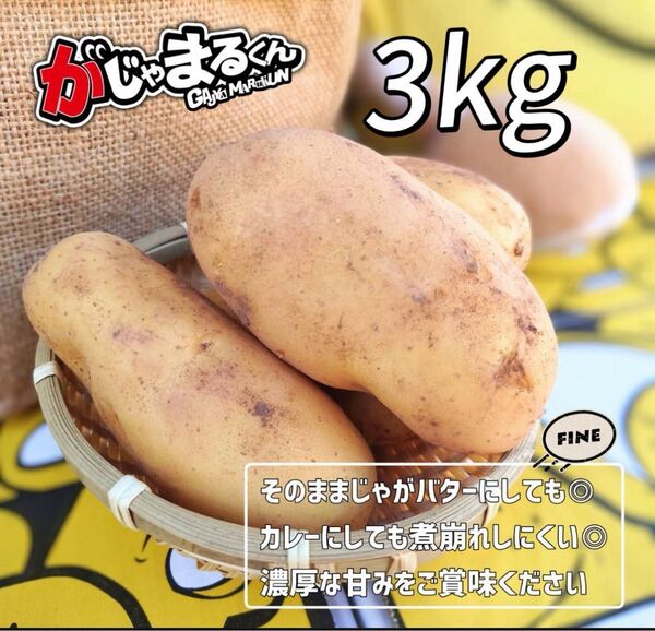 数量限定 3kg 新じゃが ジャガイモ じゃがいも Lサイズ 新じゃがいも メークイン 鹿児島県産 訳あり