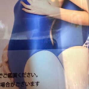 Blu-ray 2枚組 お姉さんの危ない競泳水着 Blu-rayリメイクバージョン デジタル出版 ハイレグ 尻フェチ レア