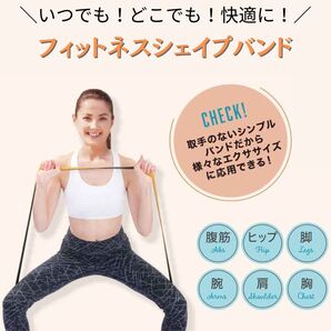 【新品】 ストレッチ 筋トレ 腹筋 太もも エクササイズ ダイエット 脚痩せ 猫背 男女 背筋 姿勢矯正 肩甲骨はがし