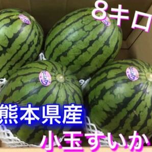 ★秀品熊本植木産小玉すいか★8キロ