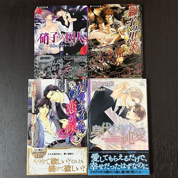 BL小説4冊まとめ売り【硝子の囚人、獅子の黒炎、夜のオフィスに恋が咲く、身代わりの純愛】