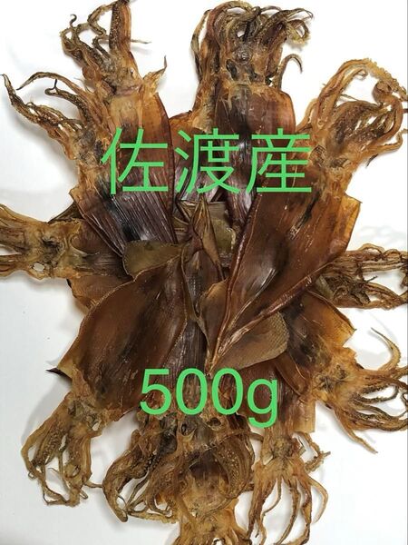 佐渡産 干しいか(真イカ)500g 無添加するめ 無塩 あたりめ