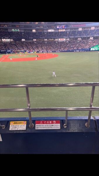 オリックス vs 楽天 8/14 ホームランシート 最前列 下段 1塁側 2枚 8月14日