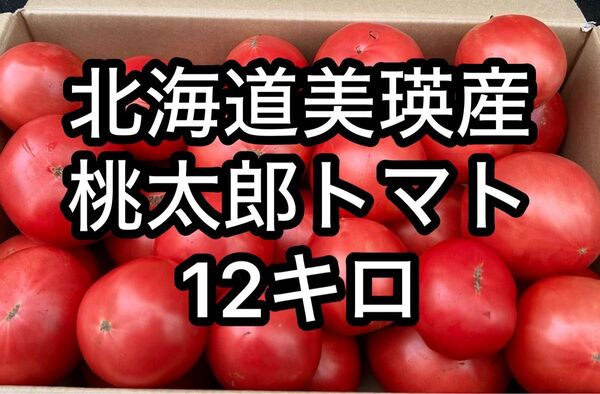 北海道美瑛産 フレッシュ&ジューシー!訳あり桃太郎トマト