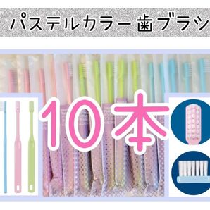 【新品未使用】3色歯科医院専用歯ブラシ10本