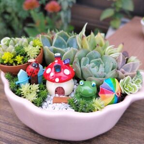 かえるちゃんの多肉グラタン 多肉植物寄せ植え そのまま飾れる陶器
