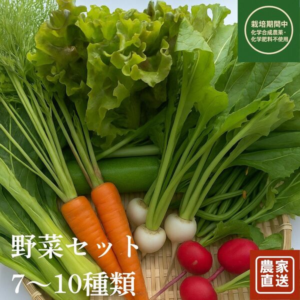 栽培期間中化学合成農薬、化学肥料不使用 野菜7〜10点セット 詰め合わせ おまかせ 広島三次産 80サイズ