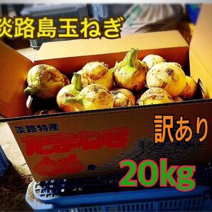淡路島玉ねぎ訳あり20kg