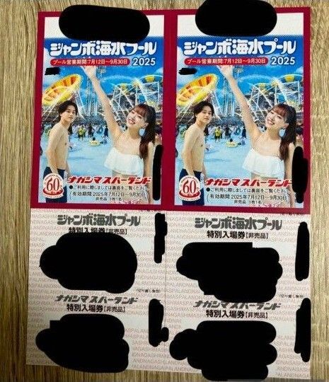 【2025年】ナガシマスパーランド・ジャンボ海水プール入場券 2枚セット