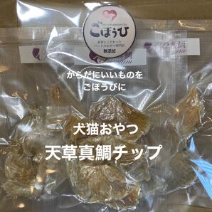 犬猫おやつ 無添加 天草真鯛チップ