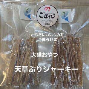 犬猫おやつ 無添加 天草ぶりジャーキー