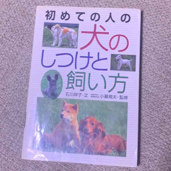 初めての人の犬のしつけと飼い方