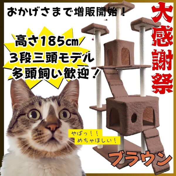 キャットタワー 猫 大型 爪研ぎ 多頭飼い 据え置き 日本語説明書付き おもちゃ キャットウォーク 人気 多頭飼い ブラウン