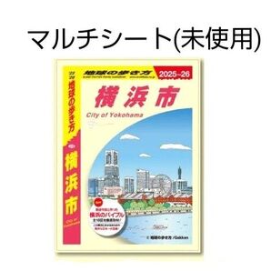 地球の歩き方 横浜市 オリジナル マルチシート 1枚 巨大ガチャガチャ モンスターカプセル コレクション グッズ (未使用)