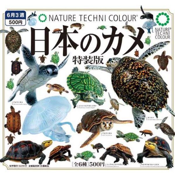 ネイチャーテクニカラー 日本のカメ 特装版 全6種コンプリートセット 未開封