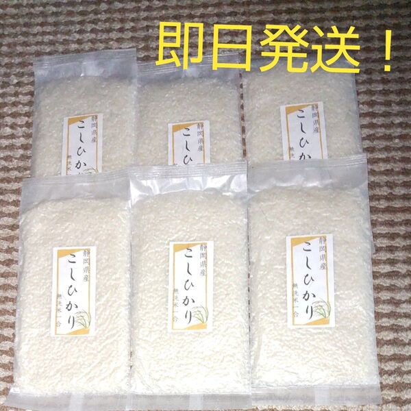 防災用 無洗米 1合 6個セット 真空 1合 6袋 キャンプ 1合 コシヒカリ静岡県産 即日発送 新米 ソロキャンに