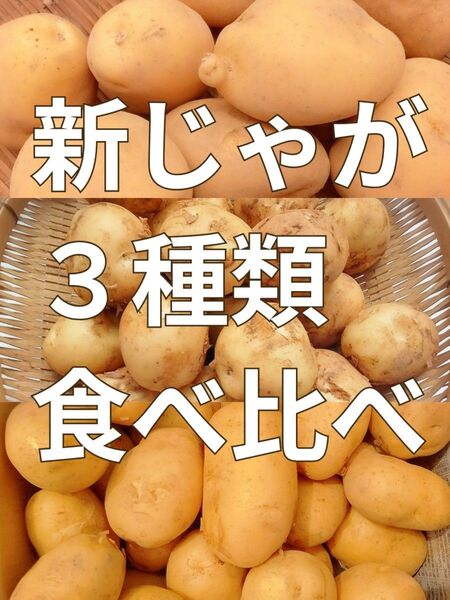 新じゃがいも◯食べ比べ3点セット◯各1キロ◯計3キロ◯長崎県産
