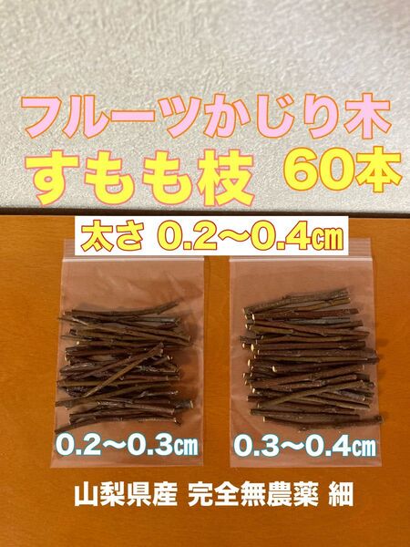 フルーツかじり木 60本 すもも小枝 0.2〜0.4㎝ 山梨県産完全無農薬