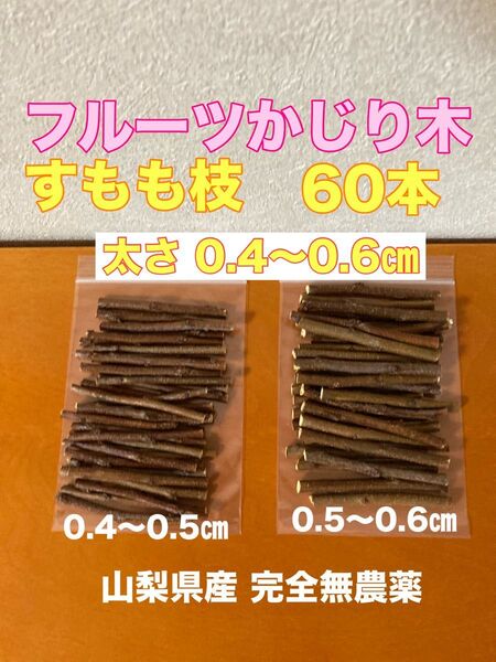 フルーツかじり木 60本 すもも小枝 0.4〜0.6㎝ 山梨県産完全無農薬