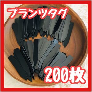 園芸用ラベル 200枚 プランツタグ 植物名札 黒 ブラック プラスチック