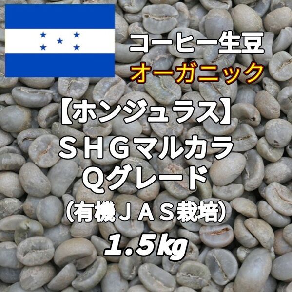【ホンジュラス】SHGマルカラ Qグレード コーヒー生豆1.5kg(コーヒー生豆 自家焙煎 コーヒー豆 コーヒー 珈琲)