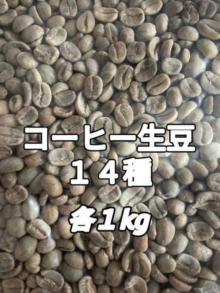 コーヒー生豆14種 合計14kg(コーヒー生豆 自家焙煎 コーヒー豆 コーヒー 珈琲)