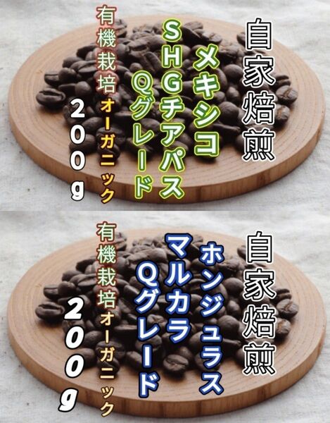 【メキシコ】SHGチアパス【ホンジュラス】SHGマルカラ 自家焙煎豆 各200g(自家焙煎 コーヒー豆 コーヒー )