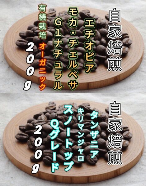【エチオピア】モカ・チェルベサ【タンザニア】スノートップ 各200g(自家焙煎 コーヒー豆 珈琲 コーヒー)