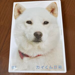 カイくん日和 (趣味/教養)