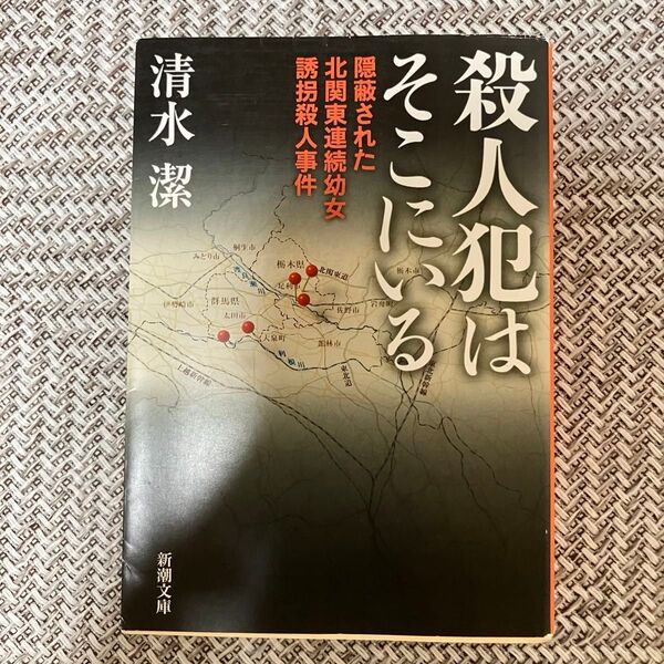 清水潔 殺人犯はそこにいる ノンフィクション