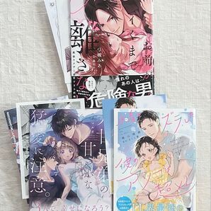 水着をズラした彼のアソコは超XL など計3冊