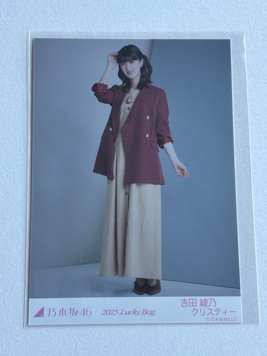 直筆サイン入り生写真 田村真佑 lucky bag カレンダー衣装 ヨリ 新品 乃木坂46 田村真佑 生写真 2025年 福袋限定 Lucky Bag