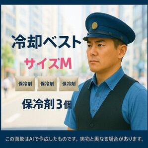 冷却ベスト サイズM 保冷剤3個