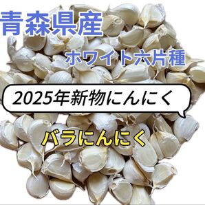 2025年新物 バラにんにく520g 青森県産 ホワイト六片種にんにく 小粒 乾燥済み ネット入り バラにんにく